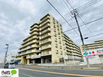 �O�ώʐ^�@�V�K�������t�H�[���̂��ꂢ�Ȏ����I��؂ȃy�b�g�ƈꏏ�ɕ�点��}���V�����i�ב�����j