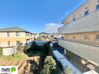 ���̑��@�o���R�j�[����̒��]�B