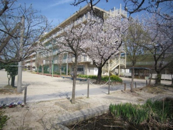 ���ӊ��@���ˎs���a���ꏬ�w�Z �k��13���B 1000m