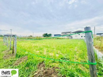 �y�n�ʐ^�@���n�����ʐ^�F2025�N10��31��