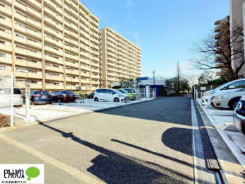 ���̑��@�J�[�X�y�[�X