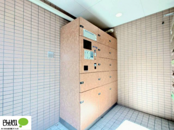 ���̑��@��z�{�b�N�X