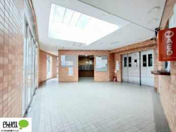 �G���g�����X�@�L�X�Ƃ������ꂢ�ȃG���g�����X