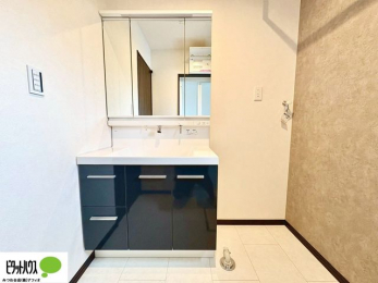 ���ʑ�E���ʏ��@�O�ʋ��̗���A�V���N���ȂǑ������[��������A�L�X�Ƃ������ʉ��ϑ�ł��B