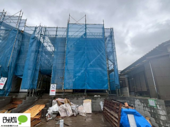 �O�ώʐ^�@���n�����ʐ^�F2026�N3��3��