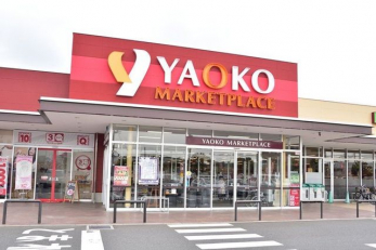 ���ӊ��@���I�R�[���˖���X �k��9���B 650m