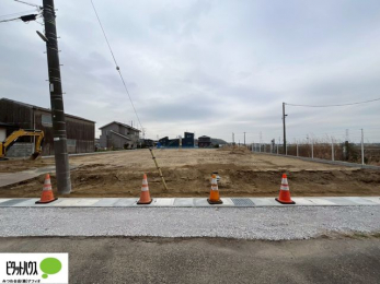 �y�n�ʐ^�@�~�n�L�X��446�؁I