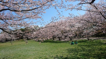 ���ӊ��@�����X���� �k��10���B 800m