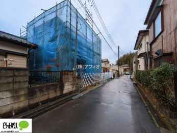 �O�ώʐ^�@���n����