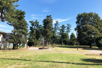 ���ӊ��@�炪�u�Βn���� �k��19���B 1470m