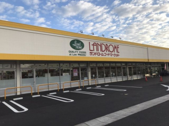 ���ӊ��@�����h���[���t�[�h�}�[�P�b�g����X �k��10���B 800m