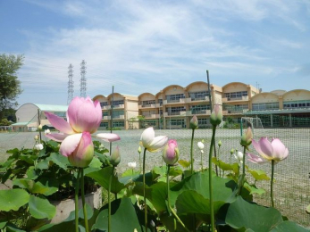 ���ӊ��@��t�s�����䏬�w�Z �k��2���B 140m