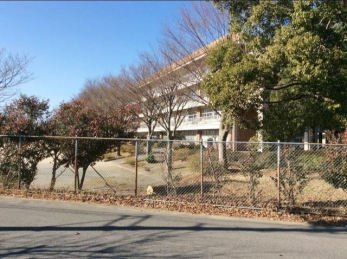 ���ӊ��@�x���s��/�x���k���w�Z �k��20���B 1550m