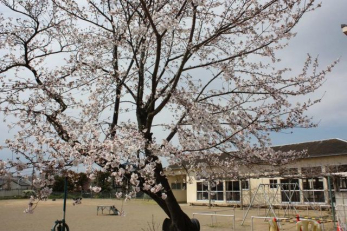 ���ӊ��@���Ɨc�t�� �k��13���B 1040m