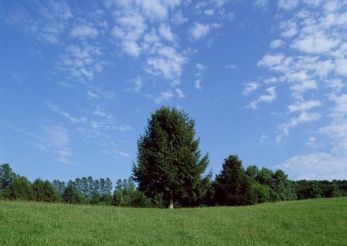 ���ӊ��@�΃P�u�`���C���h�n�E�X �k��17���B 1310m