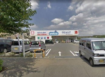 ���ӊ��@�E�G���V�A���P�J���ʂ��R�X �k��8���B 620m