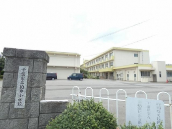���ӊ��@��t�s�����䏬�w�Z �k��7���B 560m