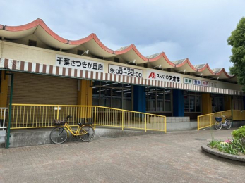 ���ӊ��@�X�[�p�[�̃A�I�L��t�������u�X �k��6���B 460m