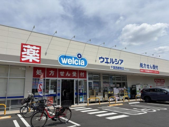 ���ӊ��@�E�G���V�A��t���s��X �k��7���B 530m
