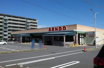 ���ӊ��@SENDO�y�C�X �k��10���B 740m