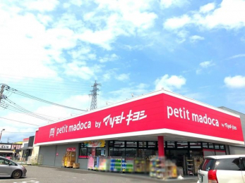 ���ӊ��@�}�c���g�L���Vpetit�@madoca�Ό����t�X �k��9���B 660m
