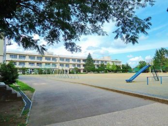 ���ӊ��@��t�s�����l�����w�Z �k��4���B 290m