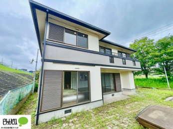 ���̑��@���t�H�[���ςł����ɐV�������n�߂��܂��I�����w�͂��C�y�ɂ��⍇�����������܂��B