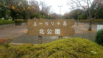 ���ӊ��@���[�J�����u�k���� �k��9���B 700m
