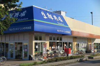 ���ӊ��@FOODS�@MARKET�@Selection�����̖ؑ�X �k��11���B 880m