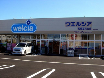 ���ӊ��@�E�G���V�A�D���Č���X �k��20���B 1590m