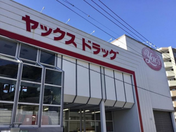 ���ӊ��@���b�N�X�h���b�O���q�X �k��4���B 300m