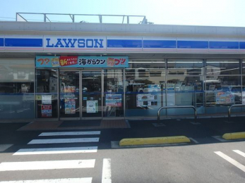 ���ӊ��@���[�\���K�u�쑳�P�Y�l���ړX �k��9���B 650m