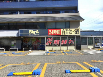 ���ӊ��@�r�b�O�E�G�[/�D���K�u���X �k��4���B 300m