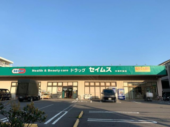 ���ӊ��@�h���b�O�Z�C���X�{�����X �k��13���B 1010m