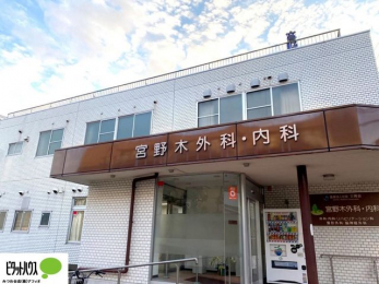 ���ӊ��@�{��؊O�ȁE���� �k��1���B 50m