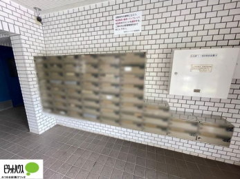�L�b�`���@�l�C�̃J�E���^�[�L�b�`������́A���r���O�ɂ��邲�Ƒ��̗l�q���f���܂�