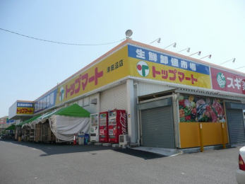 ���ӊ��@�g�b�v�}�[�g�Óc���X �k��3���B 240m