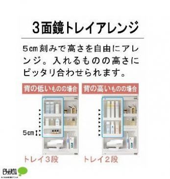 ���̑��@�Tcm���݂ō��������R�ɃA�����W�B�������̂̍����Ƀs�b�^�����킹���܂��B