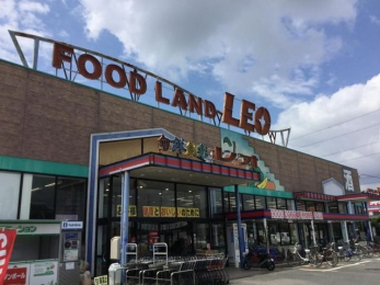 ���ӊ��@�t�[�h�����h���I�_�c�X �k��20���B 1530m