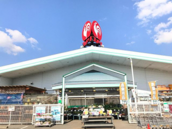���ӊ��@�R�����n�[�h���O���[���s�����v�X �k��36���B 2840m