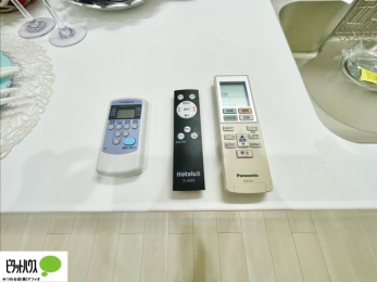���̑��@�e�탊���R��