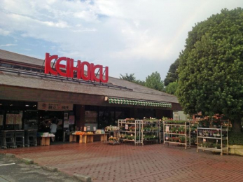 ���ӊ��@KEIHOKU�z�{�X �k��17���B 1290m