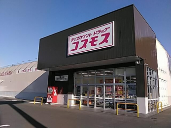 ���ӊ��@�f�B�X�J�E���g�h���b�O�R�X���X�哇�c�X �k��15���B 1200m