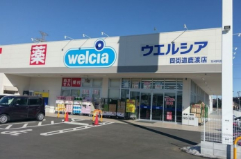 ���ӊ��@�E�G���V�A�l�X�����n�X �k��34���B 2720m