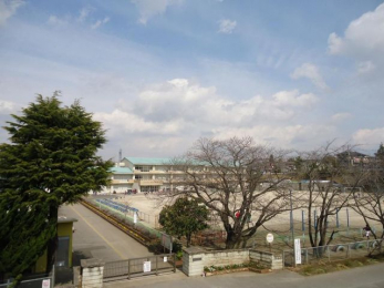 ���ӊ��@�s���s���C���䐼���w�Z �k��8���B 610m