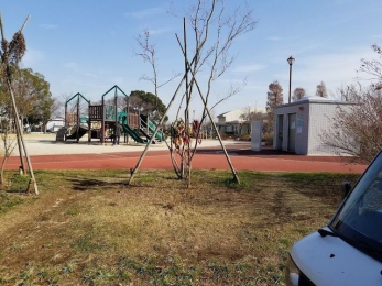 ���ӊ��@���c�䒆������ �k��11���B 860m