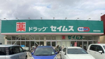 ���ӊ��@�h���b�O�Z�C���X���K�u��X �k��8���B 600m
