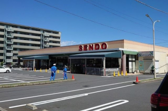 ���ӊ��@SENDO�y�C�X �k��2���B 110m
