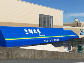 ���ӊ��@FOODS�@MARKET�@Selection�t��X �k��11���B 870m