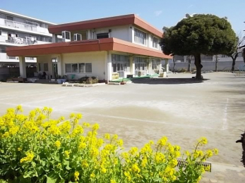 ���ӊ��@��t�s�V��ۈ珊 �k��7���B 530m